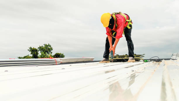 Best Roof Moss and Algae Removal  in Cridersville, OH